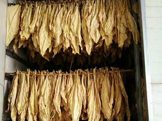 电磁加热器应用于烟草烘烤